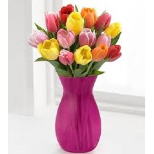 Tulip Blast Tulip Blast